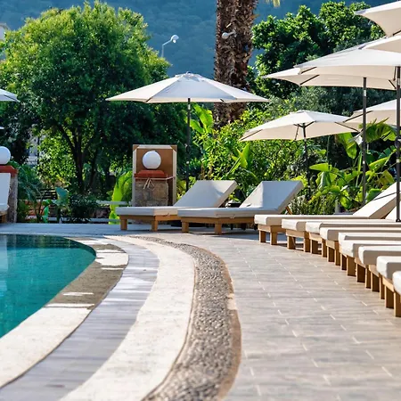 阿拉木图泻湖海滩酒店 3*